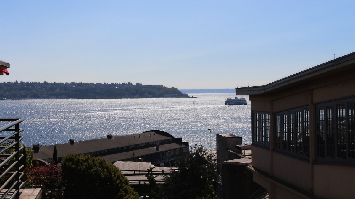 Puget Sound View  